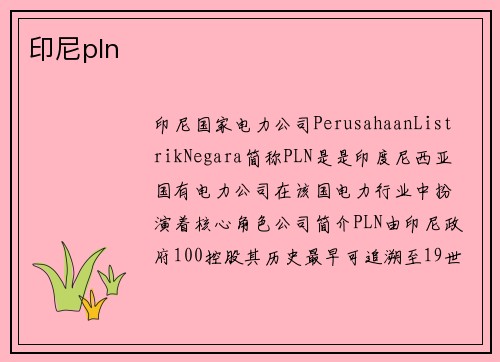 印尼pln